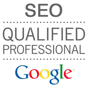 search engine optimization expert